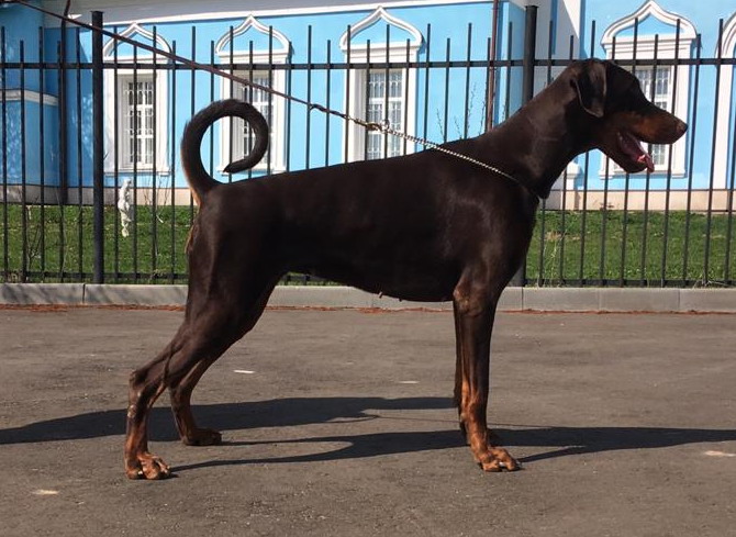 Главное фото