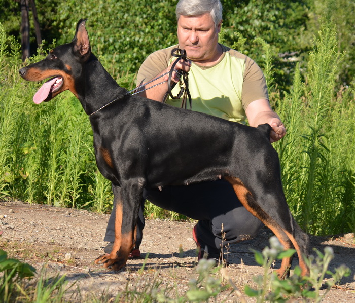 Главное фото